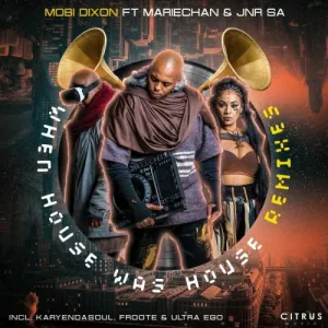 DOWNLOAD-Mobi-Dixon-–-When-House-Was-House-Froote-Afro.webp