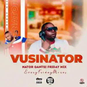 DOWNLOAD-Vusinator-–-Nator-Gantsi-Friday-Mix-–.webp