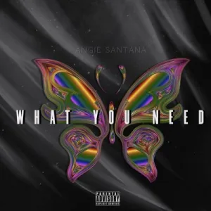 DOWNLOAD-Angie-Santana-–-What-You-Need-–.webp