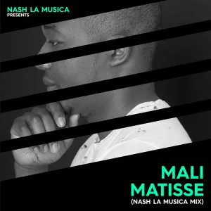 DOWNLOAD-Matisse-–-Mali-Nash-La-Musica-Mix-–.webp