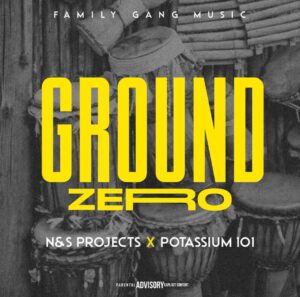 DOWNLOAD-N-S-Projects-Potassium-101-–-Ground