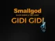 GIDI-GIDI-Single-Smallgod-Black-Sherif-and-Tory-Lanez