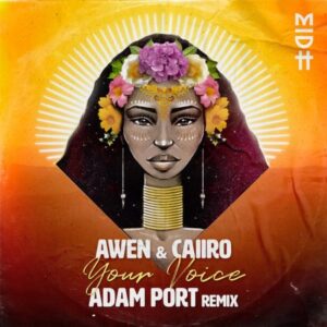 DOWNLOAD-Awen-Caiiro-–-Your-Voice-Adam-Port-Remix