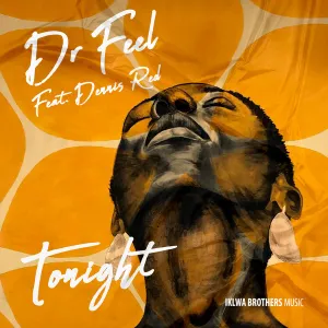 DOWNLOAD-Dr-Feel-Dennis-Red-–-Tonight-Original-Mix.webp