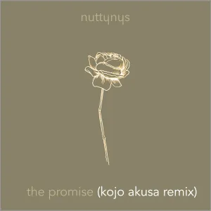 DOWNLOAD-Nutty-Nys-–-The-Promise-Kojo-Akusa-Remix-–.webp
