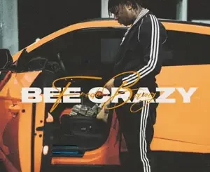 Bee-Crazy-Single-Fredo-Bang