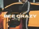 Bee-Crazy-Single-Fredo-Bang