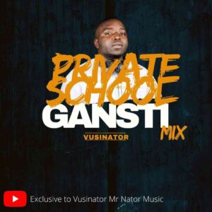 DOWNLOAD-Vusinator-–-Private-School-Gantsi-Mix-–