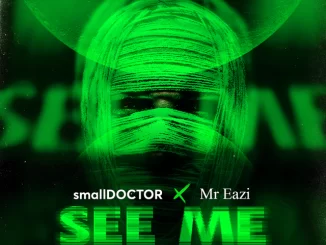 1665734393 DOWNLOAD-Small-Doctor-–-See-Me-ft-Mr-Eazi-–.webp