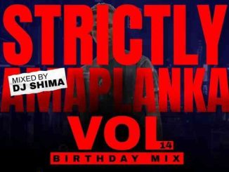 1666722586 DOWNLOAD-Dj-Shima-–-Strictly-Amaplanka-Vol14-Birthday-Mix