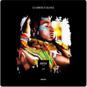 DOWNLOAD-DJ-Qness-Oluhle-–-Mwari-–