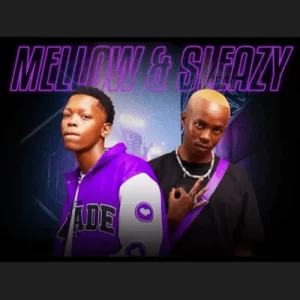 DOWNLOAD-Mellow-Sleazy-Chley-Nkosi-–-Mali-ft.webp