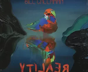 YTI⅃AƎЯ-Bill-Callahan