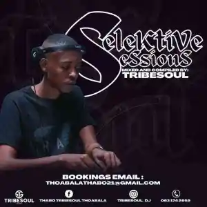 DOWNLOAD-TribeSoul-–-Selektive-Sessions-012-Mix-–.webp