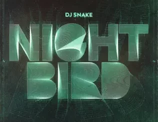 Nightbird-Single-DJ-Snake