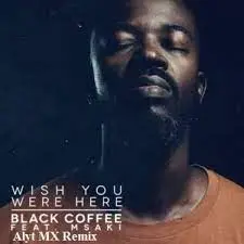 DOWNLOAD-Black-Coffee-–-Wish-You-Were-Here-Ft-Msaki.webp