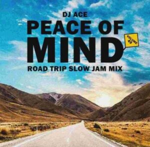 DOWNLOAD-DJ-Ace-–-Peace-of-Mind-Vol-49-Road