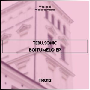 DOWNLOAD-TebuSonic-–-I-Chose-Sonitech-Mix-–