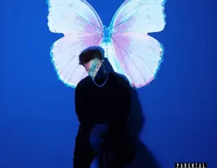 The-Butterfly-Effect-Phora