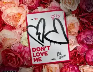 Don't Love Me - Single Roy Woods