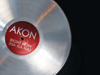 Akon - Right Now (Na Na Na) (Instrumental