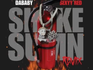 DaBaby - SHAKE SUMN (REMIX) (feat. sexyy red)