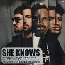 Dimitri Vegas - She Knows (with akon) (feat. Like Mike, David Guetta, Afro bros & And Akon)