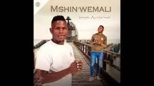 Mshinwemali - Izwi Lendoda