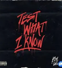 Roy Woods - Test What I Know