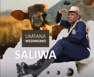 Saliwa – Amakhansela ayasebenza