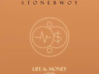Stonebwoy - Life & Money (Remix) (feat. russ)
