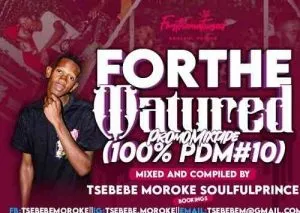Tsebebe Moroke - For The Matured Promo Mixtape (100% Production Mix 10)