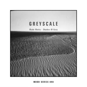 Wade Watts - Shades Of Grey