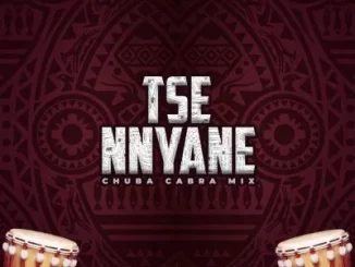 Afrikan Roots, Vusi Ma R5, Enny Man Da Guitar - Tse Nyane Remixes