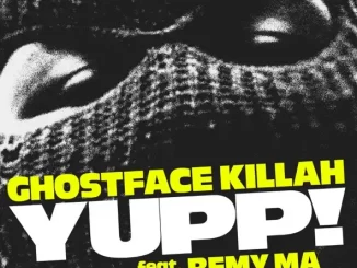 Ghostface Killah - YUPP! (feat. Remy Ma)