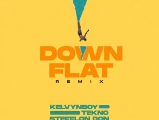 Kelvyn Boy - down flat remix (feat. Tekno & Stefflon Don)