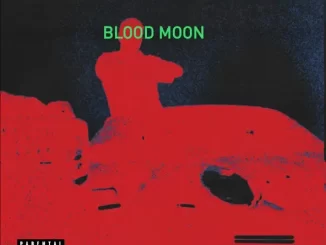 Mike WiLL Made-It - Blood Moon