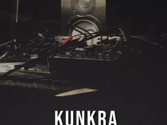 Myztro & Daliwonga - Kunkra (Dj Vurah Bootleg)