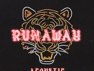 OneRepublic - RUNAWAY (Acoustic)