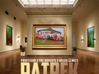Professor, The Ruperts & Diliza – Patrek (Azvibhadari) ft Meez