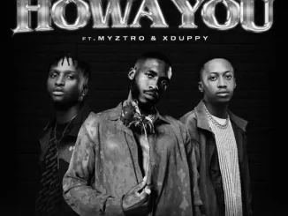 Shaunmusiq - Howa You (feat. Ftears, Daliwonga, Myztro & Xduppy)