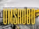 Sva The Dominator, Heartless Boyz MusiQ & BenZeero – Umshubo ft. Ishise Viper