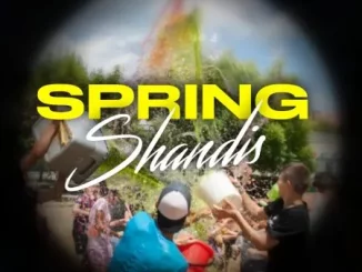 DJ Ace - Spring Shandis (Amapiano Mix 2023)