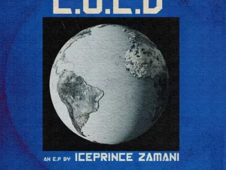 Ice Prince – C.O.L.D