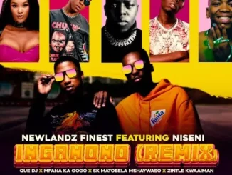 Newlandz Finest - Inganono (Remix) ft Niseni, QUE DJ, Mfana Ka Gogo, SK Matobela Mshaywaso & Zintle Kwaaiman