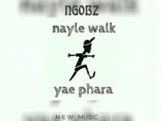 Ngobz - Nayle Walk Revisit (To Tyler Icu, Nandipha 808 & Ceeka) ft Snyper Reloaded, Youngmusiq & Sthipla Rsa