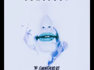 The Chainsmokers & Drew Love – Somebody