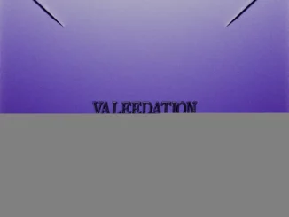VALEEDATION Valee, MVW