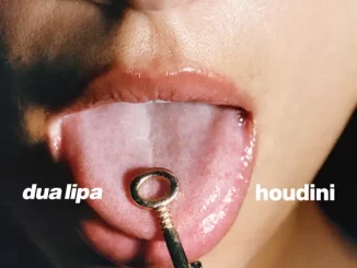 Dua Lipa - Houdini (Extended Edit)