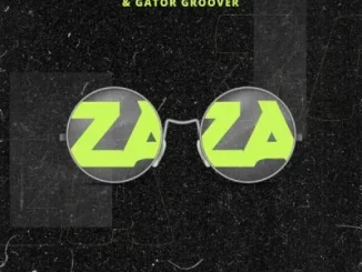 Wayne O, Mpho Spizzy, Stash Da Groovyest & Gator Groover - Zaza